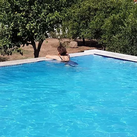 Mandarin Koycegiz (Mugla)