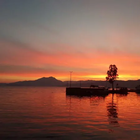 Mandarin Koycegiz (Mugla)
