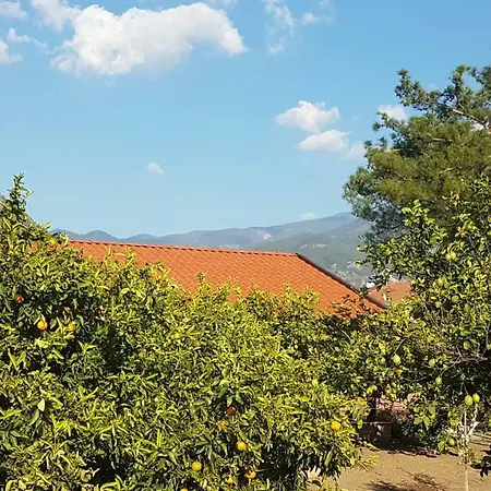 Mandarin Hotel Koycegiz (Mugla)