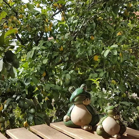 Mandarin