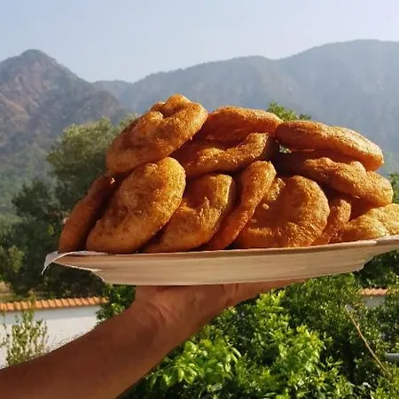 Hotel Mandarin Koycegiz (Mugla)