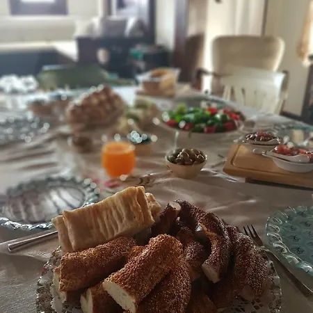 Hotel Mandarin Koycegiz (Mugla)